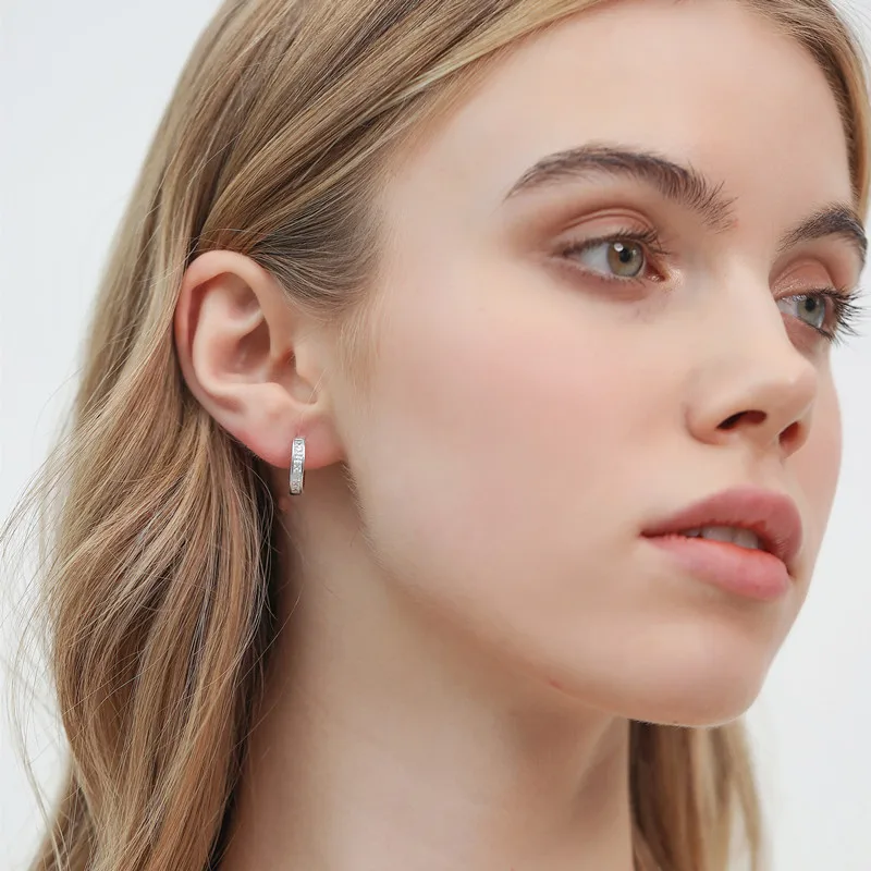 Sterling Silver Shining Zircon Earrings Women