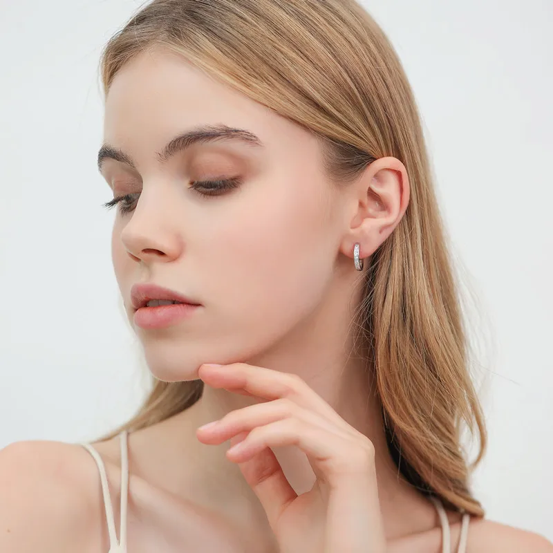 Sterling Silver Shining Zircon Earrings Women