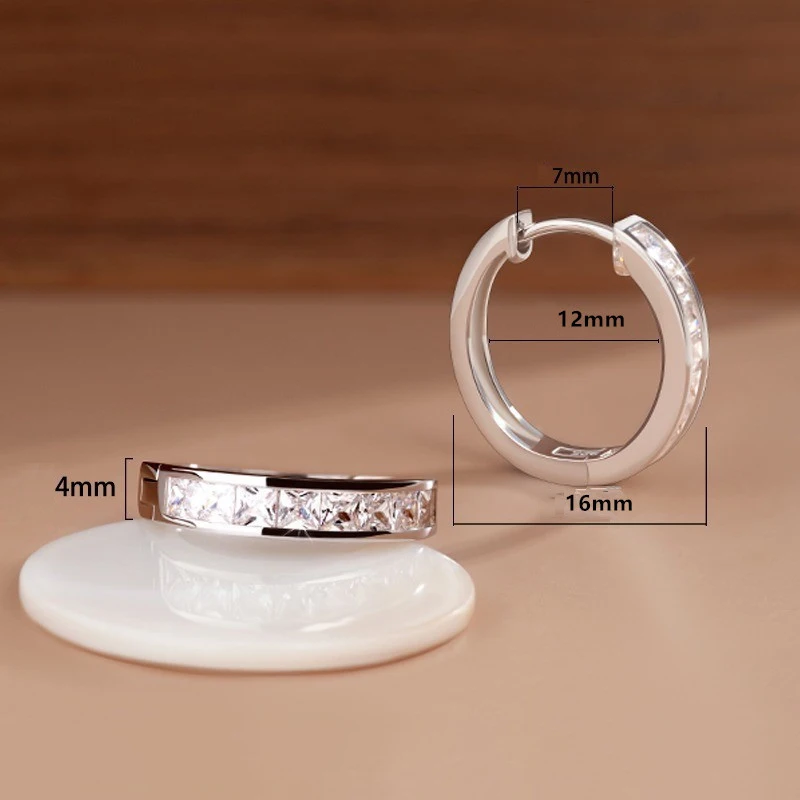 Sterling Silver Shining Zircon Earrings Women