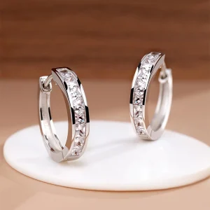 Sterling Silver Shining Zircon Earrings Women