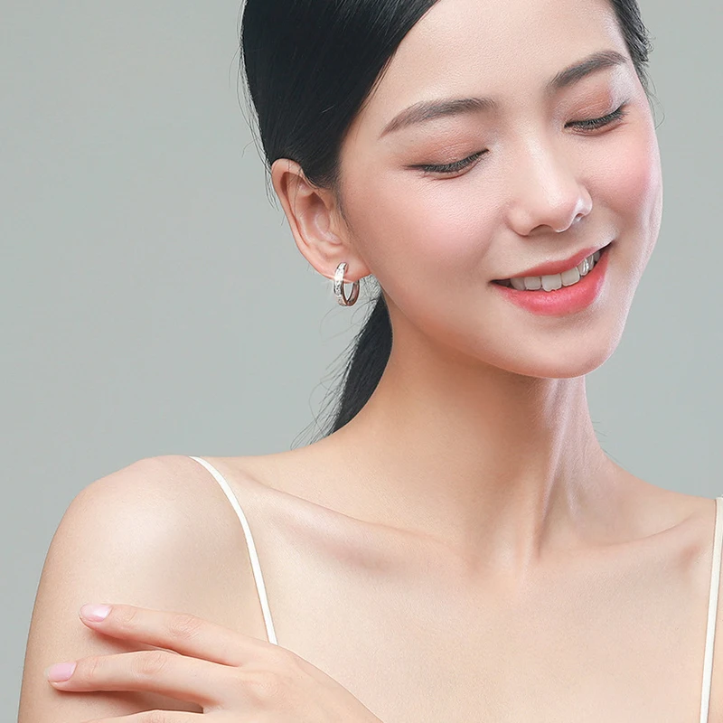 Sterling Silver Shining Zircon Earrings Women