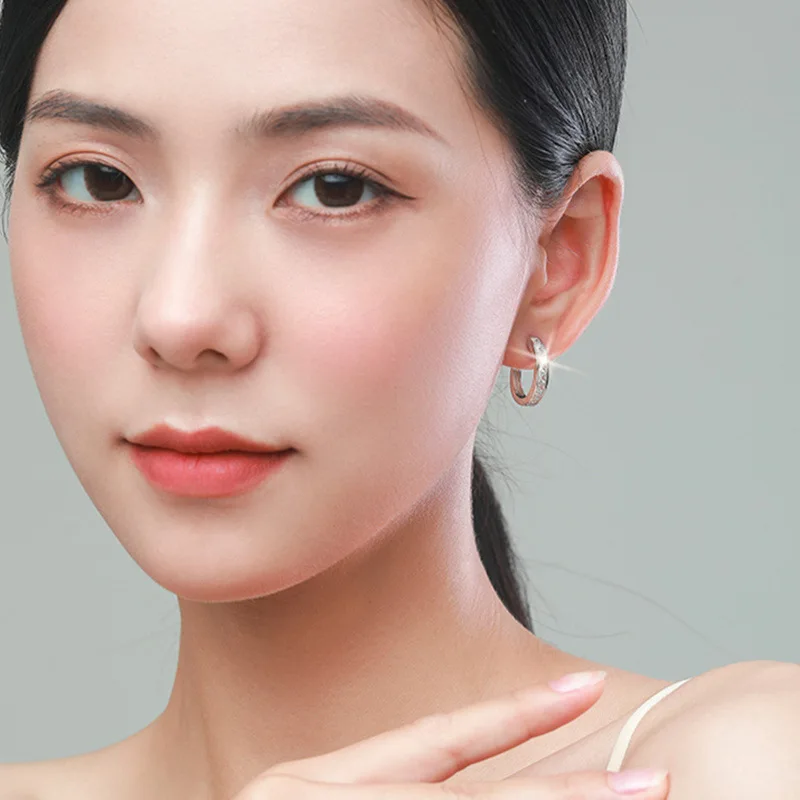 Sterling Silver Shining Zircon Earrings Women