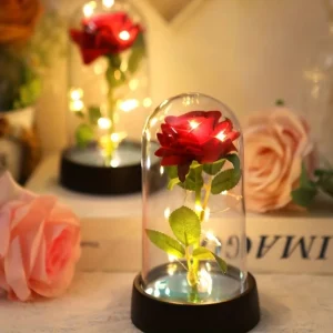Eternal Rose Flower Colorful Luminous Ornament For Women