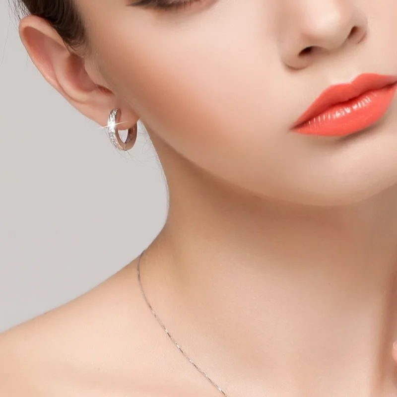 Sterling Silver Shining Zircon Earrings for Women